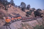 BNSF 7895 South